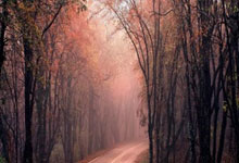 文昌美食网简介