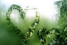 文昌美食网简介